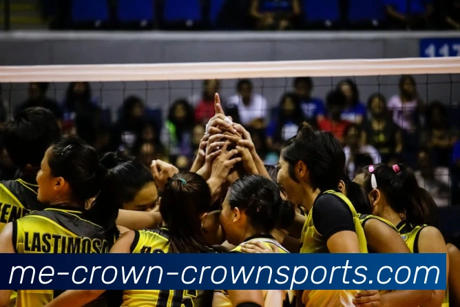 App Interface Preview